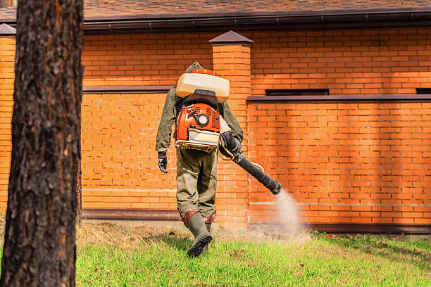 Trusted Bed Bug Control service in Agency Village, SD - Nex Pest Control